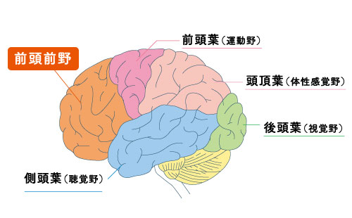 温め療法 食学 くらし 七田式公式通販 温め療法 食学 くらし 七田式公式通販