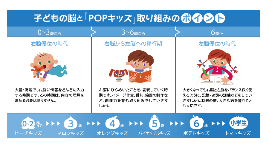 POPキッズ（ポップキッズ)【幼児向け教材】| 七田式公式通販