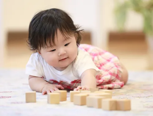 知育玩具しらきのつみき