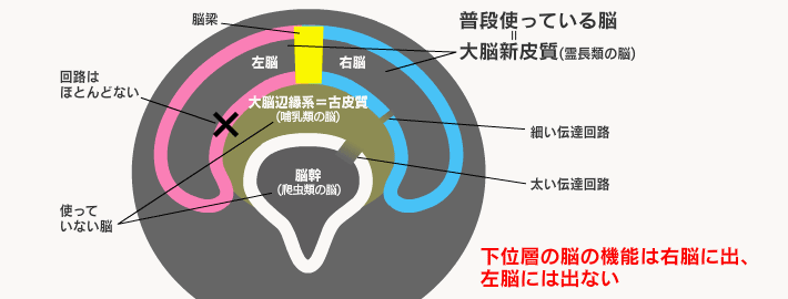 れきし探訪 日本史編・世界史編【幼児・小学生向け教材】| 七田 れきし探訪 日本史編・世界史編【幼児・小学生向け教材】| 七田