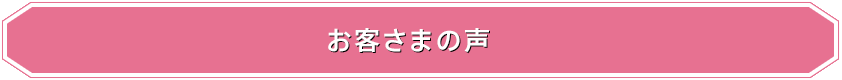 成果と実績